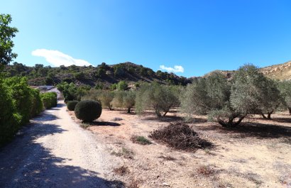 Reventa - Country House - Aspe - Aspe - Country