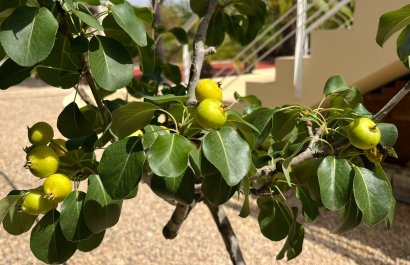 Resale - Villa - Benidorm