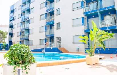 Resale - Apartment / flat - Torrevieia - Playa Los Locos