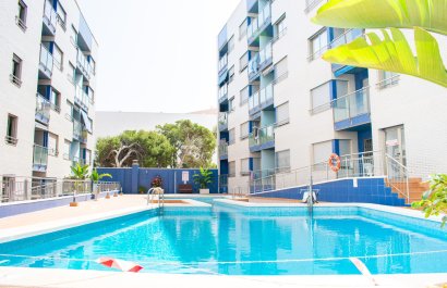 Resale - Apartment / flat - Torrevieia - Playa Los Locos