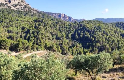 Resale - Country House - Benasau