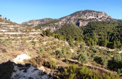 Resale - Country House - Benasau