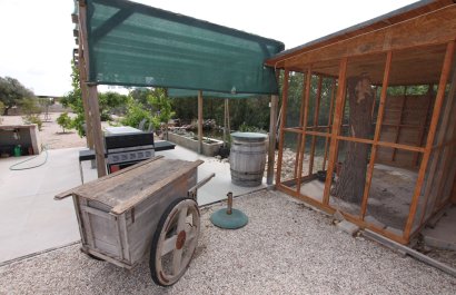 Reventa - Country House - Crevillente