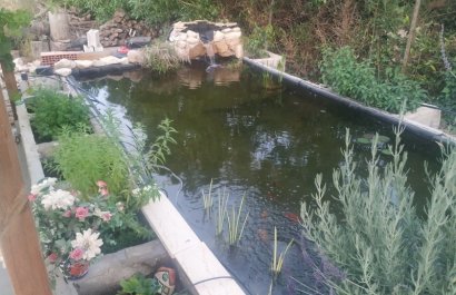 Reventa - Country House - Crevillente