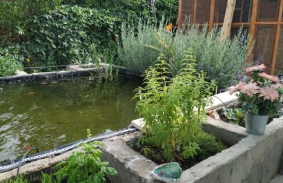 Reventa - Country House - Crevillente