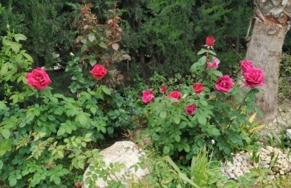 Reventa - Country House - Crevillente