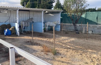 Reventa - Country House - Crevillente