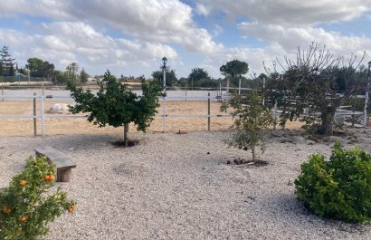 Reventa - Country House - Crevillente