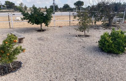 Reventa - Country House - Crevillente