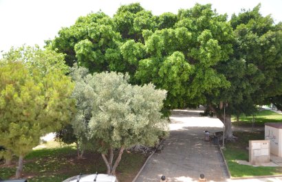 Herverkoop - Appartement / flat - Torre de la Horadada