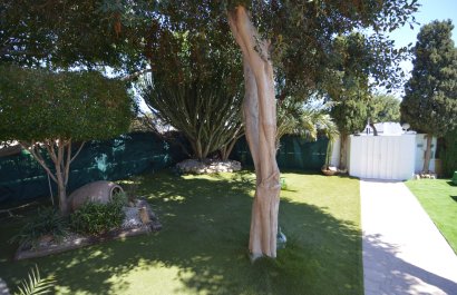 Resale - Villa - Torrevieia - Torreta Florida