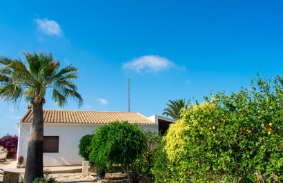 Resale - Villa - Guardamar del Segura - El Raso