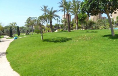 Resale - Apartment / flat - Benidorm - Poniente