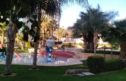 Resale - Apartment / flat - Benidorm - Rincón de Loix