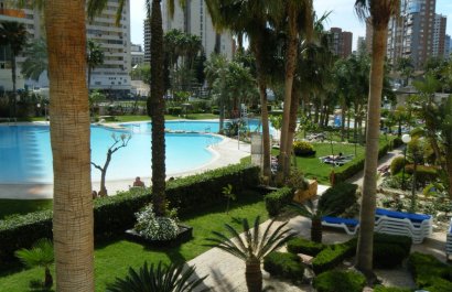 Resale - Apartment / flat - Benidorm - Rincón de Loix