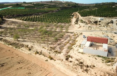 Resale - Plot / Land - Torremendo