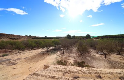 Resale - Plot / Land - Torremendo