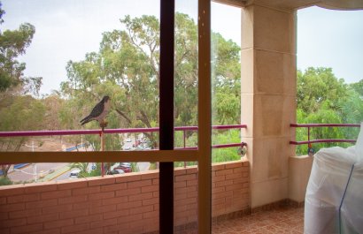 Resale - Apartment / flat - Guardamar del Segura - Center