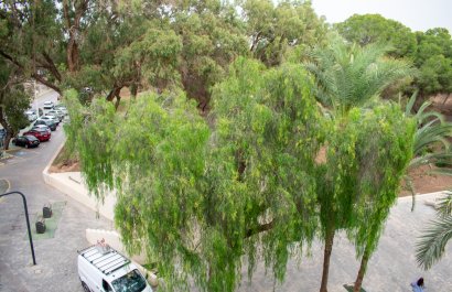 Resale - Apartment / flat - Guardamar del Segura - Center