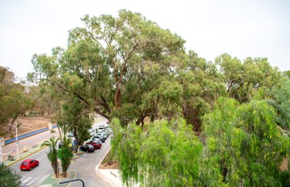 Resale - Apartment / flat - Guardamar del Segura - Center