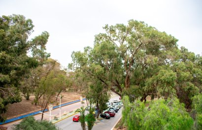 Resale - Apartment / flat - Guardamar del Segura - Center