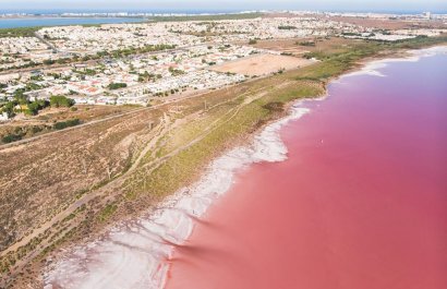 Resale - Apartment / flat - Torrevieia - Playa Los Locos