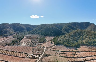 Resale - Villa - Abanilla - Cañada de la Leña