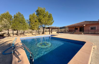 Resale - Villa - Abanilla - Cañada de la Leña