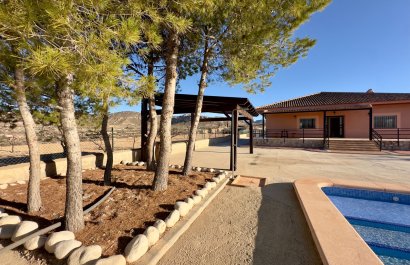 Resale - Villa - Abanilla - Cañada de la Leña
