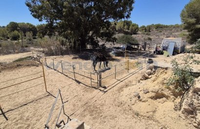 Resale - Villa - Torrevieia - Los Balcones