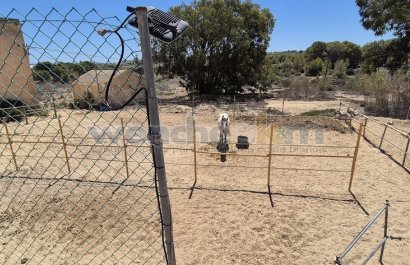 Resale - Villa - Torrevieia - Los Balcones