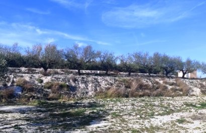 Resale - Plot / Land - Planes