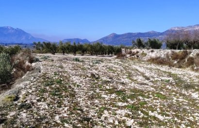 Resale - Plot / Land - Planes