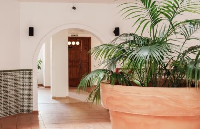 Resale - Apartment / flat - Torrevieia - Playa Los Locos