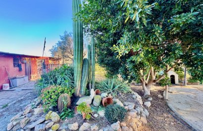 Herverkoop - Country House - Guardamar del Segura