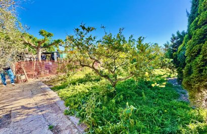 Herverkoop - Country House - Guardamar del Segura