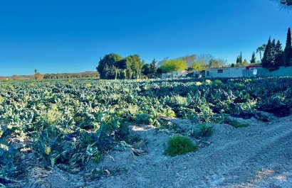 Herverkoop - Country House - Guardamar del Segura