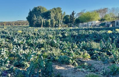 Herverkoop - Country House - Guardamar del Segura