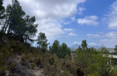 Resale - Plot / Land - Altea - Sierra de Altea