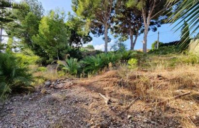 Reventa - Parcela / Terreno - Alfas del Pí - Colonia Escandinavia-Cautivador