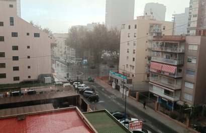 Resale - Apartment / flat - Benidorm - Levante