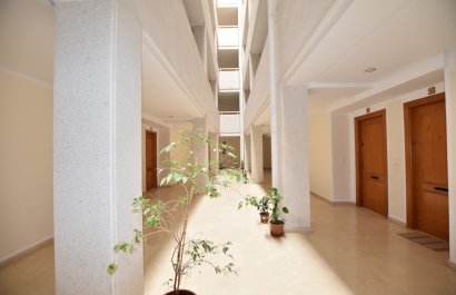 Resale - Apartment / flat - Torrevieia - La Mata