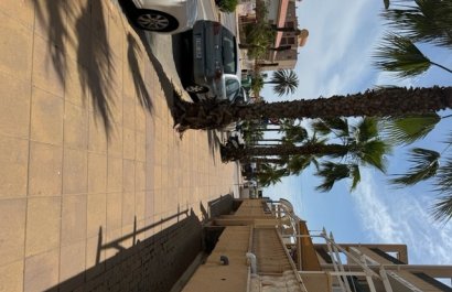 Resale - Commercial - Torrevieia - La Mata