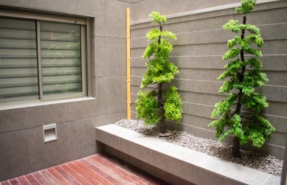 Reventa - Apartamento / piso - Guardamar del Segura