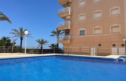 Herverkoop - Appartement / flat - Punta Prima