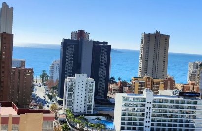 Resale - Apartment / flat - Benidorm - Levante