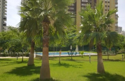 Resale - Apartment / flat - Benidorm - Levante