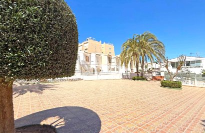 Resale - Apartment / flat - Torrevieia - Torrelamata - La Mata