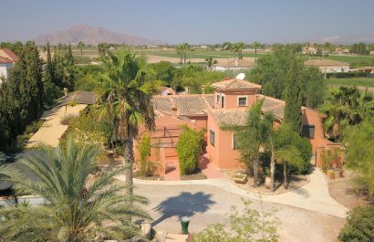 Reventa - Country House - Catral - Catral - Country