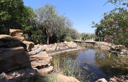 Reventa - Country House - Catral - Catral - Country